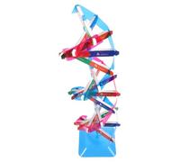 BESPORTBLE Dna Double Helix Structure Model Kit for Biology Teaching Material Assembly Educational Science Experiment Supply Lightweight Classroom Gene Model for Students and Science