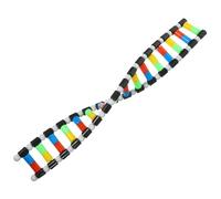 BESPORTBLE Dna Model Double Helix 15.75 Inch Molecular Model Kit for Science Teaching and Classroom Display Interactive Biology Education Toy for Students