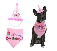 BESPORTBLE Dog Hats for Large Dogs Pet Birthday Accessory Happy Birthday Letter Printed