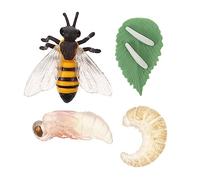 BESPORTBLE Educational Bee Growth Cycle Simulation Model Miniature Life Cycle Display for Learning Insect Decoration and Photo Prop Realistic Bee Development Figures for Classroom and Party