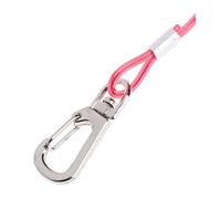 BESPORTBLE Elastic Parrot Leash for Outdoor Activities Anti-bite Training Rope for Birds Strong Chew Resistant Flying Harness Random Color