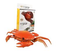 BESPORTBLE Electric Rc Crab with Lifelike Moving Eyes and Realistic Shell Texture Simulation Animal Prank Prop for Party and Educational Play Remote Control Funny Crab for Boys