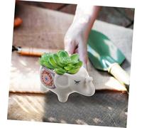 BESPORTBLE Elephant-shaped Ceramic Flowerpot for Small Succulents and Cacti Decorative Indoor Plant Holder Whimsical Garden Planter for Desk Shelf Display Unique Succulent Pot