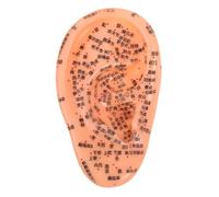 BESPORTBLE Ergonomic PVC Ear Acupoint Model for Acupuncture Practice with Precise Acupuncture Point Targeting, Designed to Simulate Traditional Chinese Medicine Theory, for Improving Sleep