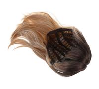 BESPORTBLE Fashionable Shoulder Synthetic Wig for Women Straight Style with Natural Gradient Color Breathable and Easy Maintenance for Role Playing Costume Parties and Summer Events
