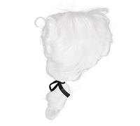 BESPORTBLE Gentleman Judge Wig for Men Breathable Lightweight Court Performance Wig Cosplay Accessory for Halloween and Fancy Dress Fits Any Face Shape and Complexion Fun and Attractive