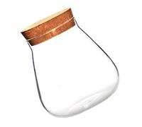 BESPORTBLE Glass Bottle Ornaments Diy Storage Pot Small Plant Pots Cute Room Decor Decorations for Living Room
