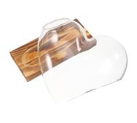 BESPORTBLE Glass Hydroponic Plant Bowl with Wooden Base, Terrarium Container for Soil-free Cultivation, Showcasing Plant Roots, for Indoor Desktop Decoration