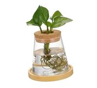 BESPORTBLE Glass Hydroponic Plant Vase for Indoor Gardening Minimalist Desktop Propagation Station Decorative Function Space-saving Design for Rooting Plants and Display
