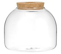 Besportble Glass Terrarium Jar with Wood Stopper Large Eco Bottle Ornament for Hydroponic Plants Ferns Bromeliads Small Ecosystem Container