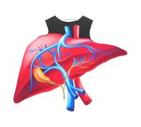 BESPORTBLE Heart Costume For Halloween: Heart Character Costume For Children - Funny Halloween Dress Up Spooky Organ Cosplay Science-Themed Stage Outfit