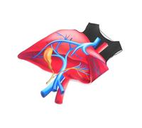 BESPORTBLE Heart Organ Costume for Halloween Party Soft Lightweight Sponge Material with Realistic Digital Print Educational Anatomy Design for Stage Cosplay and Fun Dress Up
