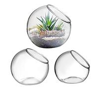 BESPORTBLE Large Glass Terrarium Vases for Plants 3pc Air Plant Terrariums Beveled Top for Home Decor