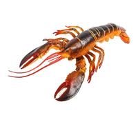 BESPORTBLE Lifelike Lobster Statue Simulation Lobster Figure Toy Educational Animal Model for Kids Garden Bonsai and Desktop Decoration 1 piece