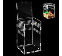 BESPORTBLE Lightweight Acrylic Reptile Enclosure Compact Terrarium Box for Tarantula and Stick Insect Suitable for Travel and Home Use Practical Feeding and Breeding Habitat