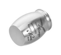 BESPORTBLE Mini Stainless Steel Pet Urn with Guardian Wing Design Portable Memorial Box for Dog Cat and Small Animal Ashes Easy Openable Keepsake Casket for Cremation Remembrance