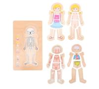 BESPORTBLE Multi-layer Body Constitution Puzzle Educational for Cognitive Development Smooth Design Early Learning Gift for Boys