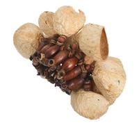 BESPORTBLE Natural Nut Shells Dance Bracelet Handbell Percussion Shaker Wristband for Yoga and Party Lightweight Handmade Shells Shaker Bracelet with Crisp Warm Tones Organic Rhythms African