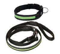 BESPORTBLE Night Vision Dog Collar Leash Led Light Pet Leash Safe Rope Lead for Puppy