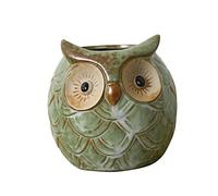 BESPORTBLE Owl Ceramic Succulent Pot with Drainage Holes Retro