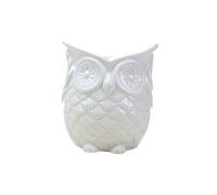 BESPORTBLE Owl Succulent Pot Ceramic Plant Pot for Home Desk Table with Creative Owl Design for Succulents Cactus and Small Flowers