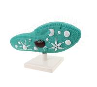 BESPORTBLE Paramecium Model with Stand for Middle and High School Biology Classroom Aid, Single-cell Organism Structure Learning Model for Science Experiments and Science Fair Demonstrations