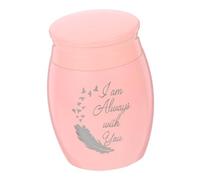 BESPORTBLE Pet Ashes Urn Pet Cremation Holder Small Cinerary Casket Cat Dog Ashes Storage