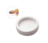 BESPORTBLE Pet Food Bowl Escape Dish for Bearded Dragon Guinea Pig Gecko Reptile Shrimp Fish Feeder Bowl