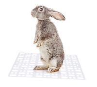 BESPORTBLE Pet Mat Set 2 Pcs Mats Plastic Pad for Playpen Cage Healthier Foot Rest for Rabbits Guinea Pigs