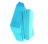BESPORTBLE PET Pee Pads Puppy Training Urine Pads 10pcs Disposable Medium 45x60cm Blue and White for Cat Rabbit Small Animal Indoor and Travel Use