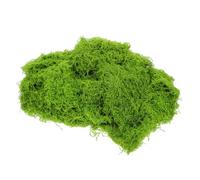 BESPORTBLE Realistic Artificial Moss Light Green Faux Decorative Moss for Aquarium Landscaping DIY Crafts Fairy Garden Indoor Planters Versatile Aquatic-friendly Greenery for Home and Model