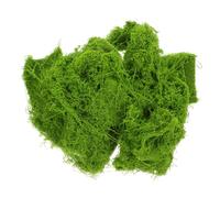BESPORTBLE Realistic Artificial Moss Light Green for DIY Crafts Aquarium Landscaping Terrariums Miniature Gardens Decorative Simulation Moss for Floristry Model Making and Home Decor