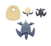 BESPORTBLE Realistic Leatherback Turtle Growth Cycle Models Educational Early Learning for Cognitive Development Classroom Display and Home Decor