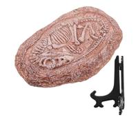 BESPORTBLE Resin Dinosaur Specimen Ornament Simulated Fossil Decoration for Reptile Tanks Lightweight Home and Table Decor Paleontology Enthusiasts