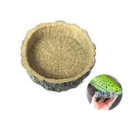 BESPORTBLE Resin Feeding Bowl Turtle Gecko Snake Reptile Food Dish Vivarium Water Plate 10x10x2.5cm