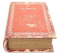 BESPORTBLE Retro Vintage Book Shaped Storage Box Strong Plastic Material, Openable Design for Desktop Decor and Storage of Letters and Small Items, Stylish Room Ornament