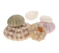 BESPORTBLE Sea Urchin Shell, 6Pcs Aquarium Ornaments Natural Urchin for Aquarium Fish Tank Underwater Landscape Crafts Beach Party Home Decor