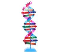 BESPORTBLE Self Assembling Dna Double Helix Model Kit Educational Science Teaching Instrument for Middle High School Students Lightweight Biological Structure Model for Interactive Learning