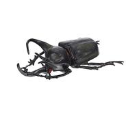 BESPORTBLE Simulation Beetle Model Educational Insect for Decorative Biological Cognition Teaching Aid Safe Non Deformable Boy Girl Learning Gift