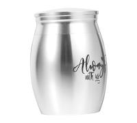 BESPORTBLE Small Stainless Steel Keepsake Urn for Pet Ashes Memorial Container for Dogs and Cats Elegant Design Lightweight Cremation Ash Jar for