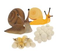 BESPORTBLE Snail Growing Cycle Model Educational for Realistic Plastic Snail Life Cycle Figurines Interactive Nature Exploration Science Kit for S Cognitive Development