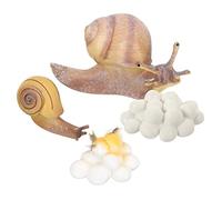 BESPORTBLE Snail Growth Cycle Model Educational Set for Safe Snail Cognitive Models for Biology Learning Nature Exploration Animal Figurines Random Style Set