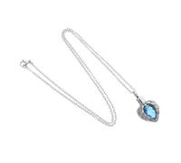 BESPORTBLE Stainless Steel Heart Shaped Pet Ashes Keepsake Necklace with Secure Memorial Compartment Elegant Memorial Pendant for Emotional Connection Cremation Jewelry for Cat Dog