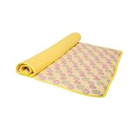 BESPORTBLE Summer Cushion for Pet Dog Pad Cooling Effect Puppy Bed Kitten Lying Pad Pet House Cushion Suitable for Indoor and Outdoor