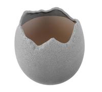 BESPORTBLE Terracotta Ceramic Succulent Planter Pot with Unique Eggshell Shape for Indoor Small Plants Creative Modern Flower Pot for Succulents