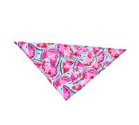 BESPORTBLE Watermelon Pattern Dog Collar Bib Pink Triangular Pet Scarf for Small to Medium Dogs for Parties and Daily Use Keeps Pets Clean While Eating