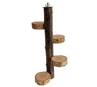 BESPORTBLE Wooden Bird Perch Stand for Parrots Natural Wood Climbing Rack Rotating Branch 3-in-1 Bird Cage Accessories for Parakeets and Cockatiels