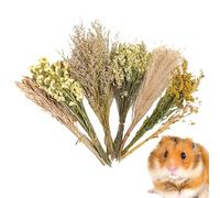 Besreey Flower Hamster Bedding, Dried Flower Hamster Bed Linen, Floral Hamster Cage Accessories, House Cage Decoration, Natural Hamster Bedding, Flowers for Lemming Meerkats