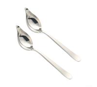 Besshepplo 2Pcs 304 Stainless Steel Seasoning Spoon Sauce Spoon For Salad And Dessert Sauces And Gravy(Silver)