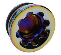 Besshepplo Aluminum Alloy Hydraulic Disc Brake Caliper Bore Cap Large Cover for Hope Tech 3 V4 E4 Bicycle Braking System Red Green Purple Silver Replacement Part(Rainbow)